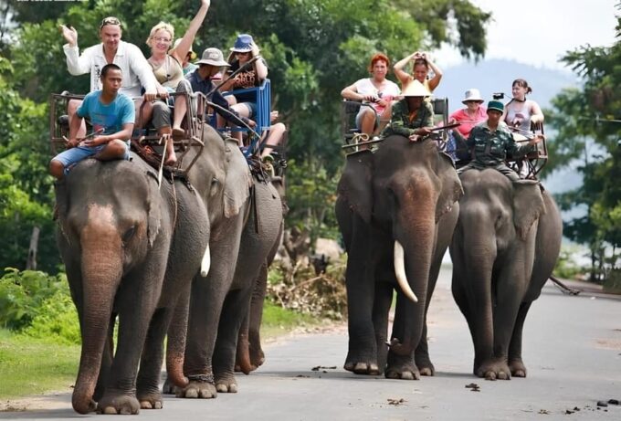 From Nha Trang: 1 Day Dalat Tour - Frequently Asked Questions