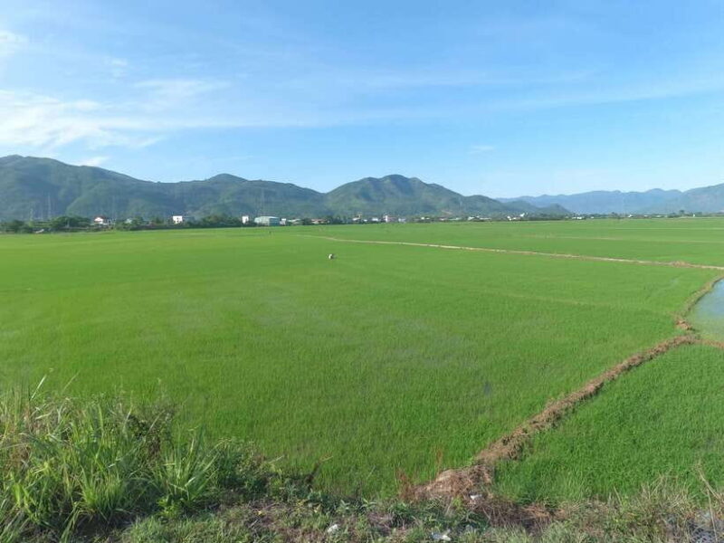 From Nha Trang: 3-Days Da Lat Tour With Hotel Pickup - Datanla Waterfall, Truc Lam Monastery, Dalat Fairytale Land