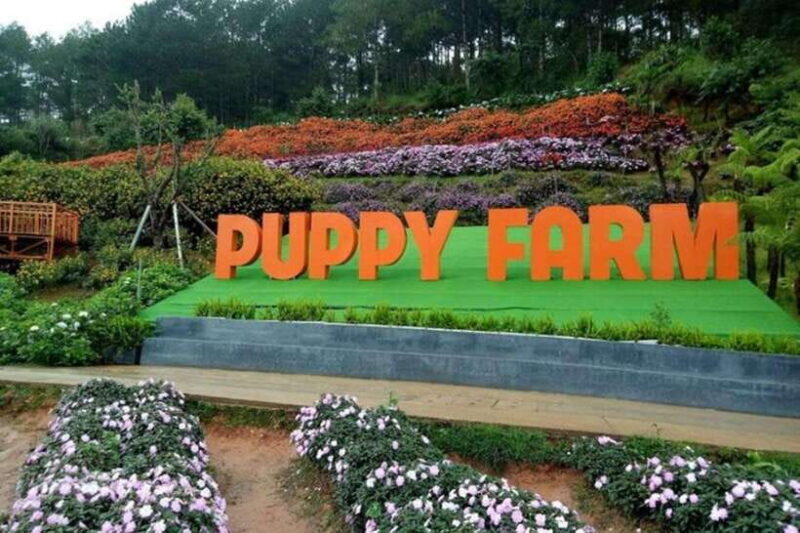 From Nha Trang: 3-Days Da Lat Tour With Hotel Pickup - Frequently Asked Questions