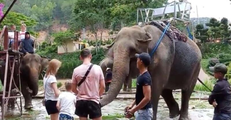 From Nha Trang: Dalat Tour 2 Days 1 Night - Key Points
