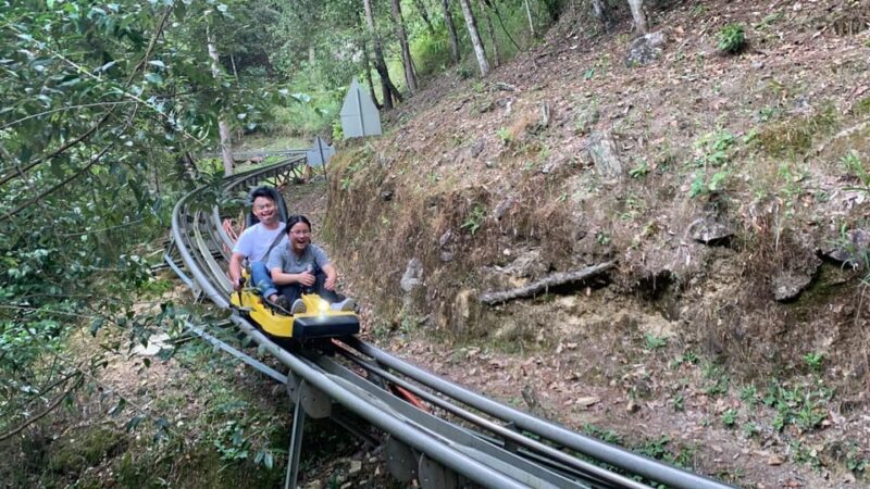 From Nha Trang: Day Trip to Dalat With Datanla Waterfall - Itinerary Highlights