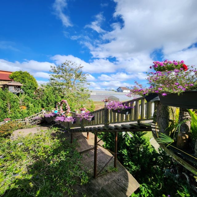 From Nha Trang: Day Trip to Dalat With Lunch - Discover Truc Lam Monastery