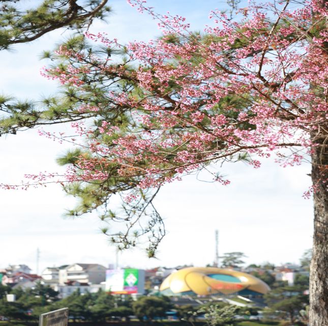 From Nha Trang: Day Trip to Dalat With Lunch - Hotel Pickup and Drop-off