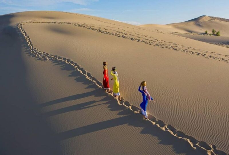 From Nha Trang: Day Trip to Nam Cuong Sand Dunes, Phan Rang - Ninh Thuan Sheep Fields