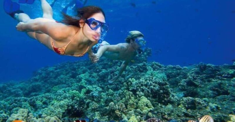 From Nha Trang: Deluxe Ocean Tour Snorkeling, Bbq& Mud Bath - Key Points