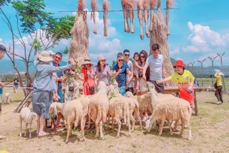 From Nha Trang: Discover Phan Rang Scenic Trip & Vinh Hy Bay - Grape Farms and Wine Tastings