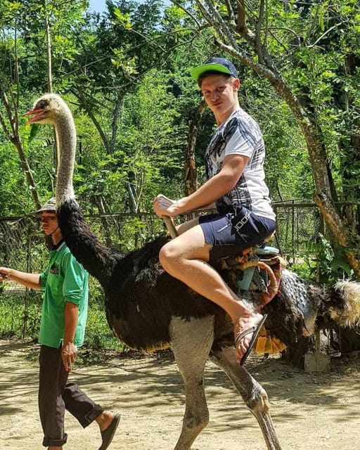 From Nha Trang: Full Day Trip to Yang Bay Waterfall - Destination Highlights