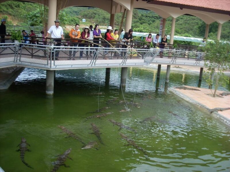 From Nha Trang: Full Day Trip to Yang Bay Waterfall - Language Support