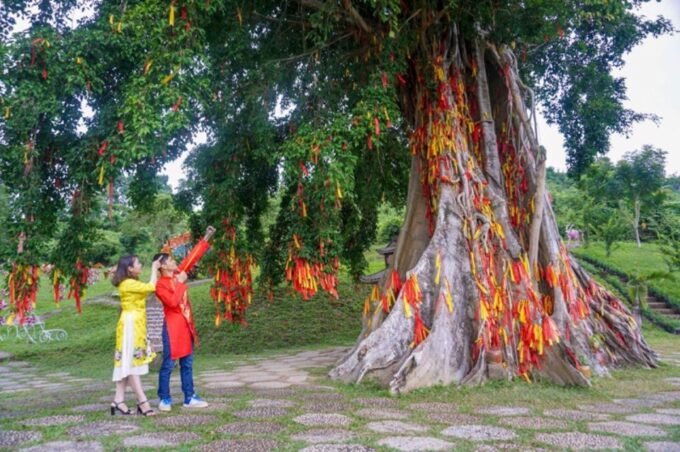 From Nha Trang: Full Day Trip to Yang Bay Waterfall - Frequently Asked Questions
