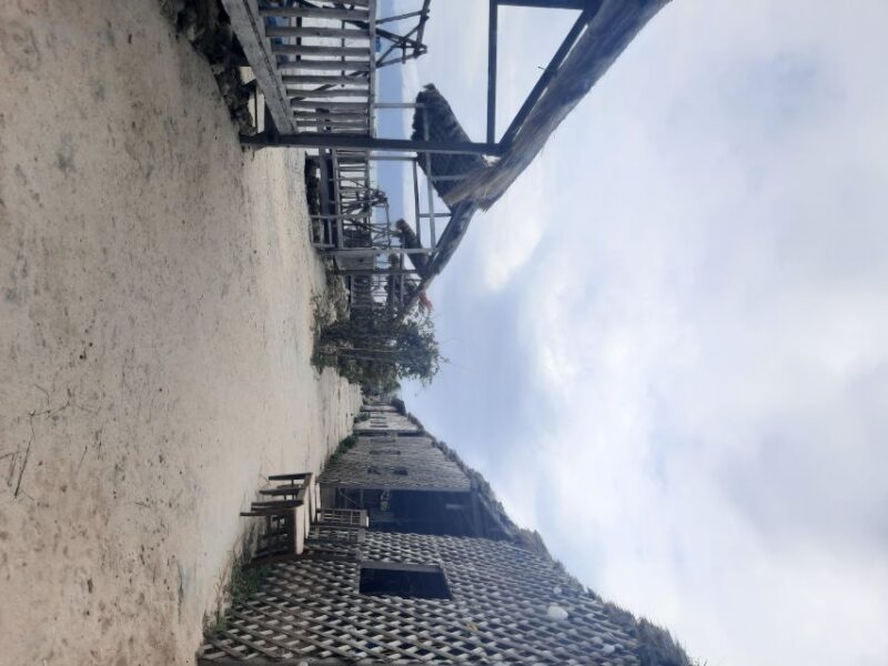 From Nha Trang: Guided Diep Son Island Day Trip With Lunch - Tour Highlights