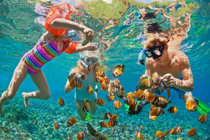 From Nha Trang: Snorkeling, BBQ and Mud Bath Day Trip - Important Information