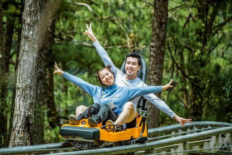 From Nha Trang: Visit Da Lat 1 Day VIP - Key Points