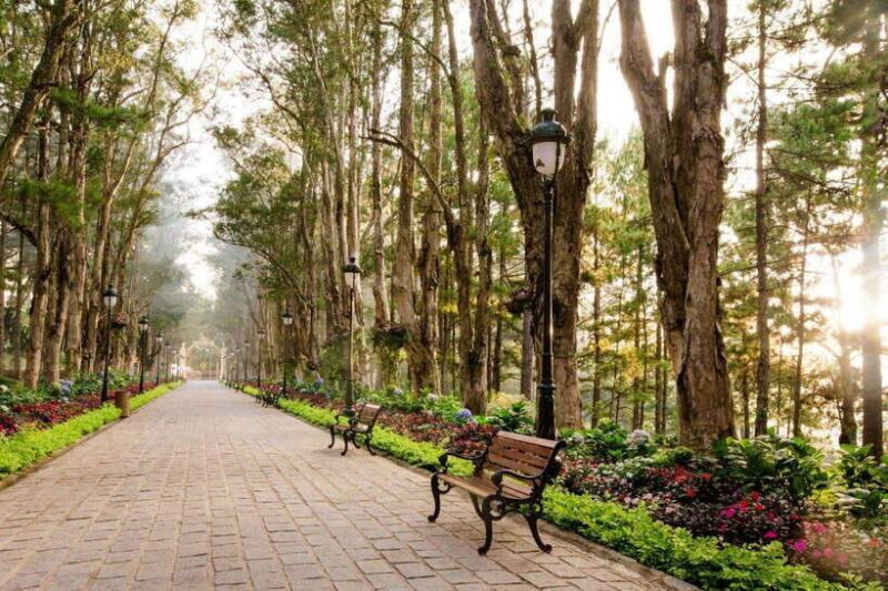 From Nha Trang: Visit Da Lat 1 Day VIP - Additional Information