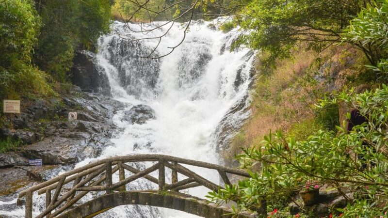 From Nha Trang: Visit Dalat City Of Flowers (Private Car) - Activities and Experiences