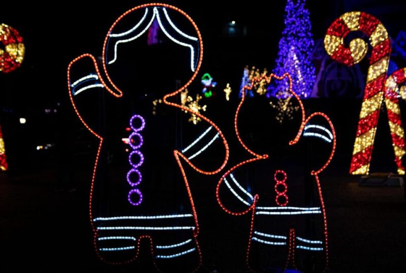 From Niagara Falls: All Inclusive Day & Evening Lights Tour - Included Features