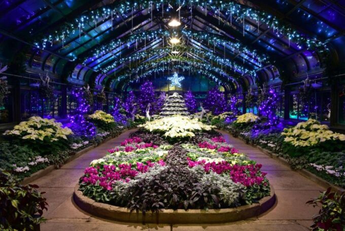 From Niagara Falls: All Inclusive Day & Evening Lights Tour - Winter Festival of Lights