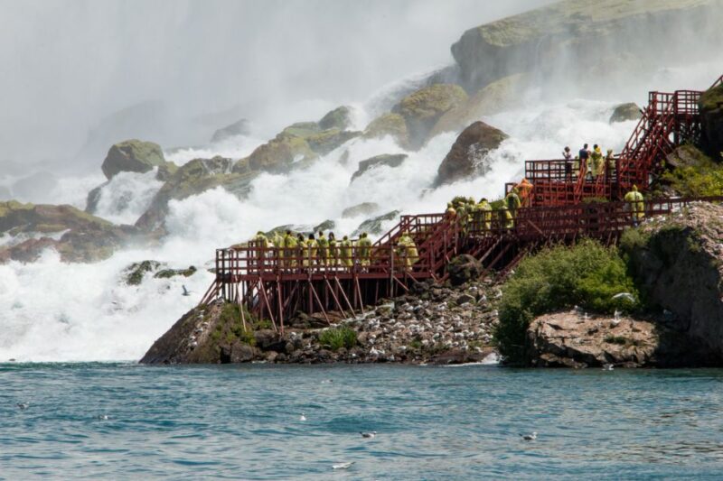 From Niagara Falls Usa: Day and Night Tour With Light Show - Participant Information
