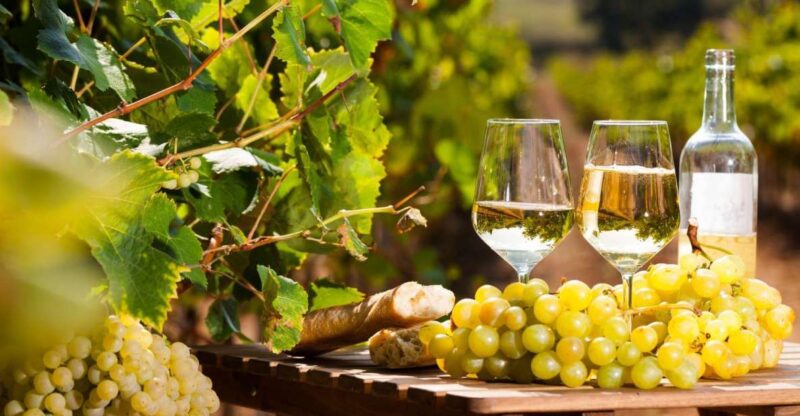 From Nice: Antibes & St Paul De Vence Tour With Wine Tasting - Tour Duration and Availability