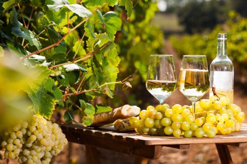 From Nice: Antibes & St Paul De Vence Tour With Wine Tasting - Explore the Medieval Village
