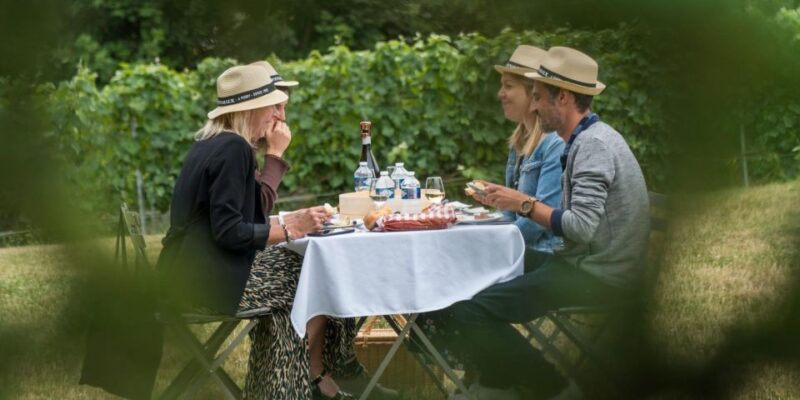 From Nice: Château Vaudois Private Tour With Picnic Lunch - Just The Basics