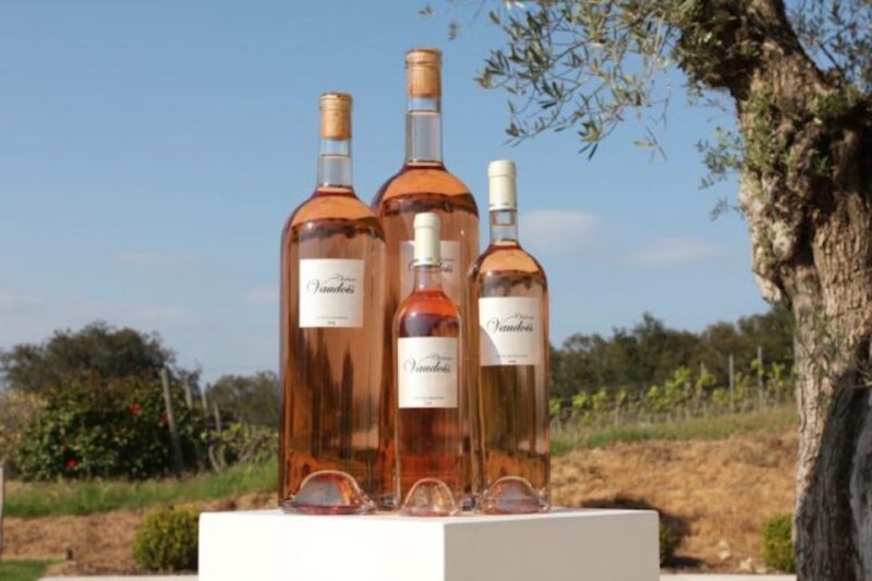 From Nice: Château Vaudois Private Tour With Picnic Lunch - Guided Tour of Le Clos Saint-Martin