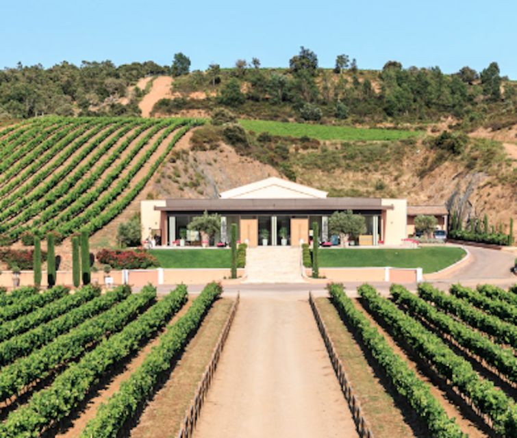 From Nice: Château Vaudois Private Tour With Picnic Lunch - Discovering Winemaking Techniques