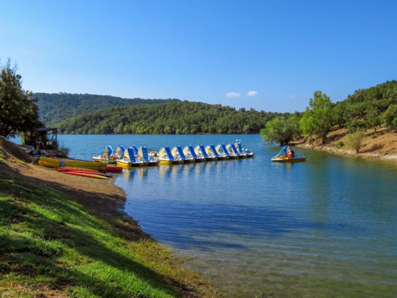 From Nice: Flower Fields & Saint Cassien Lake Full-Day Trip - Itinerary Highlights
