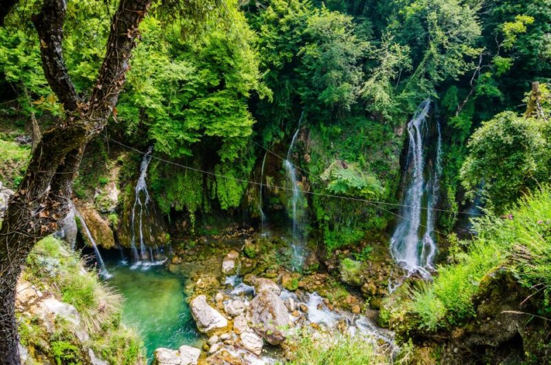 From Nice: Flower Fields & Saint Cassien Lake Full-Day Trip - Lavanderaie De Marie