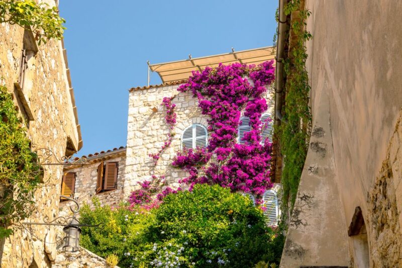 From Nice: Monaco and Eze Half-Day Trip - Pricing and Availability