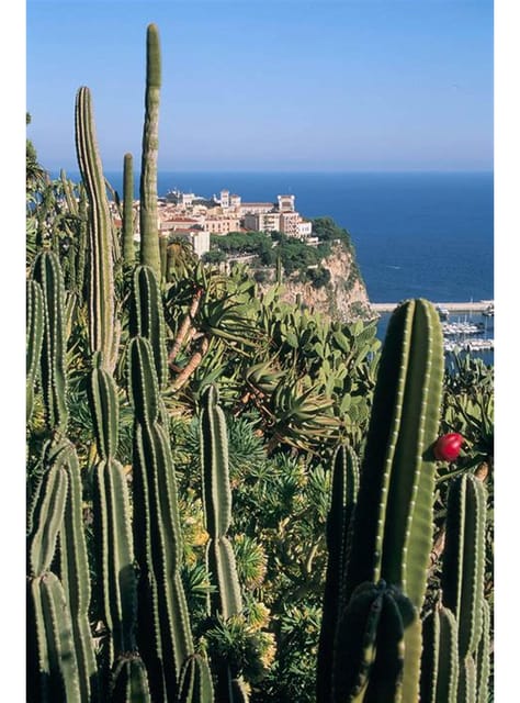 From Nice: Monaco, Monte Carlo & Eze Full-Day Tour - Key Points