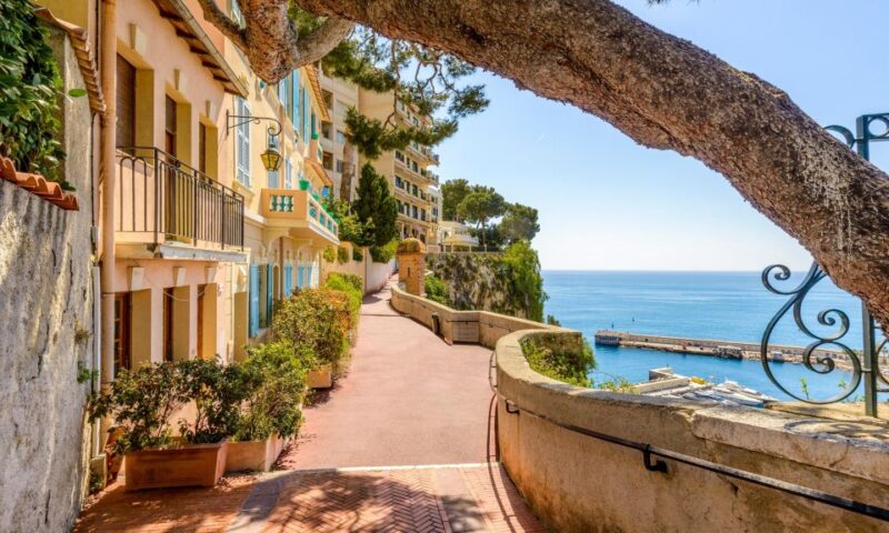 From Nice Port Private Shore Excursion Customized - Flexible Tour Itinerary Tailored to You