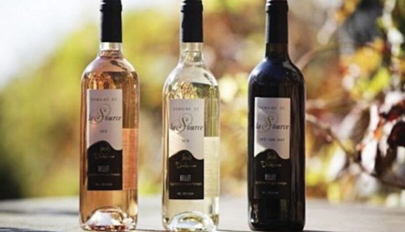 From Nice: Private Bellet Wine Tasting Day Trip - Exploring Domaine De La Source