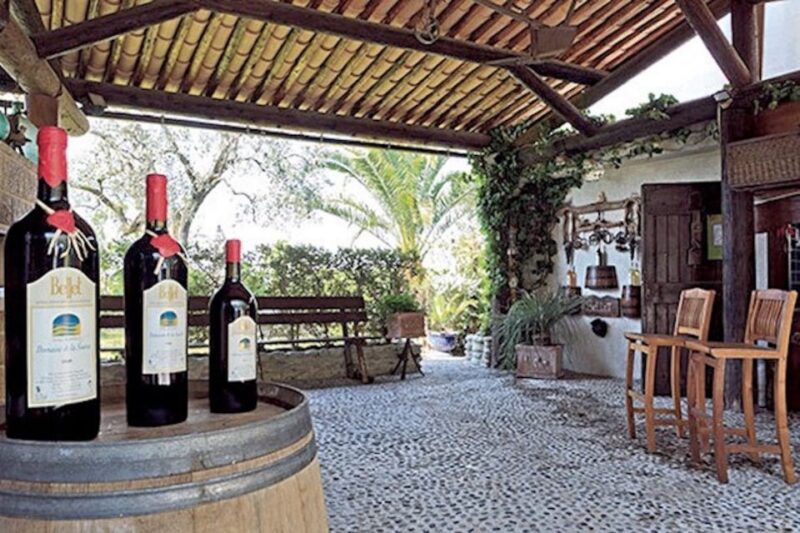 From Nice: Private Bellet Wine Tasting Day Trip - Wine Tasting Experiences