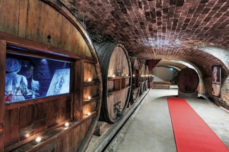 From Nice: Private Provence Wine Tasting Experience - Just The Basics