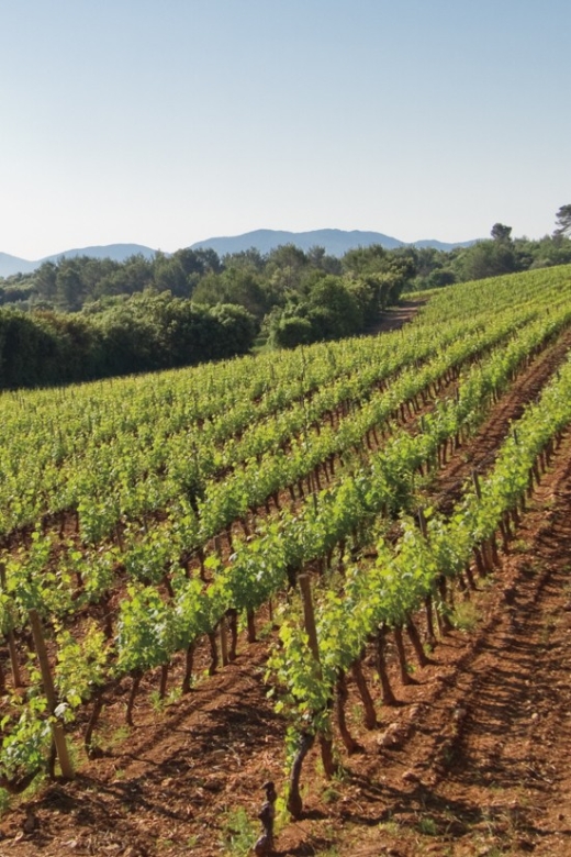 From Nice: Provence Wine Full-Day Tour - Inclusions