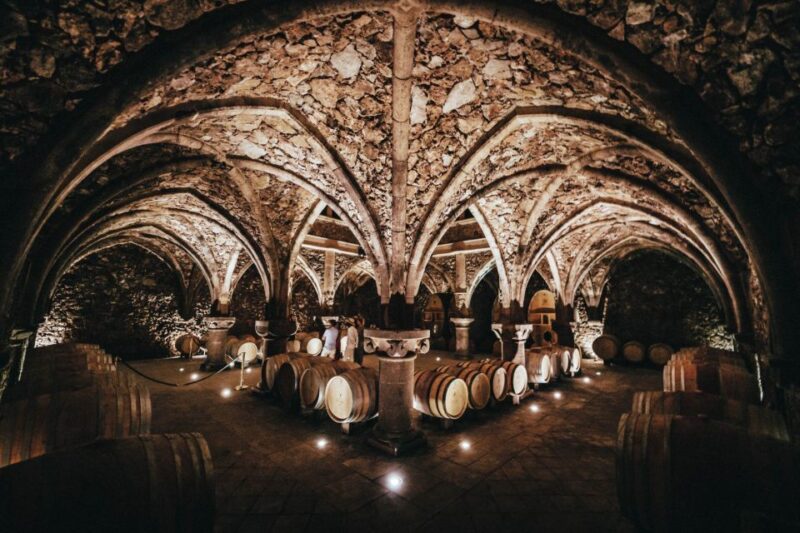 From Nice: Provence Wine Full-Day Tour - Itinerary