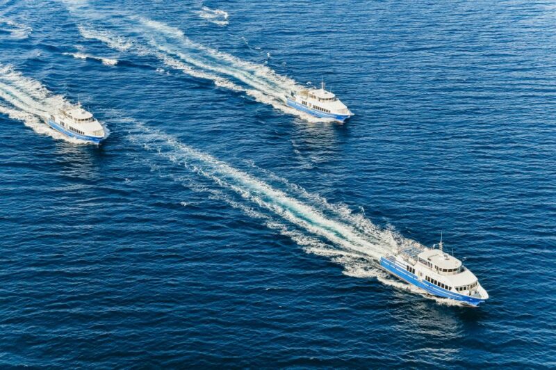 From Nice: Round-Trip Transportation to Saint Tropez by Boat - Saint Tropez Provençal Market