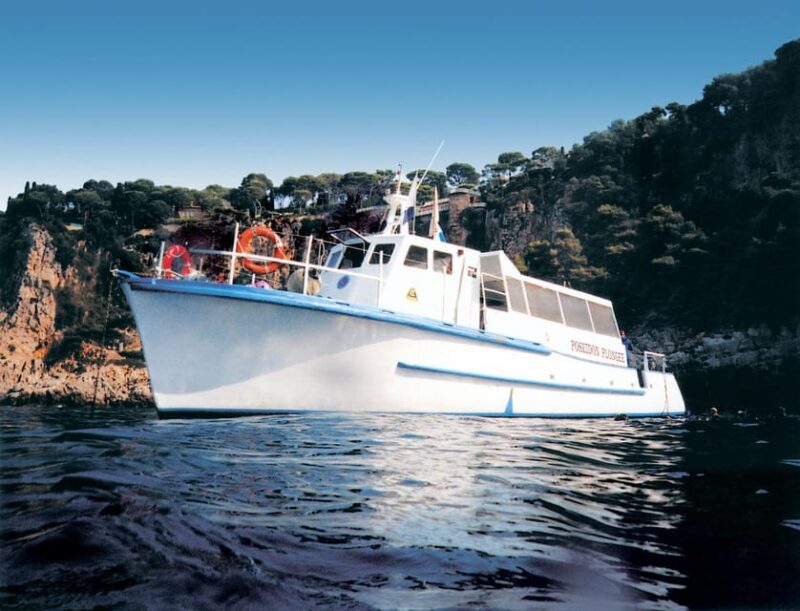 From Nice: Villefranche Bay Swimming & Snorkeling Boat Tour - Included Activities