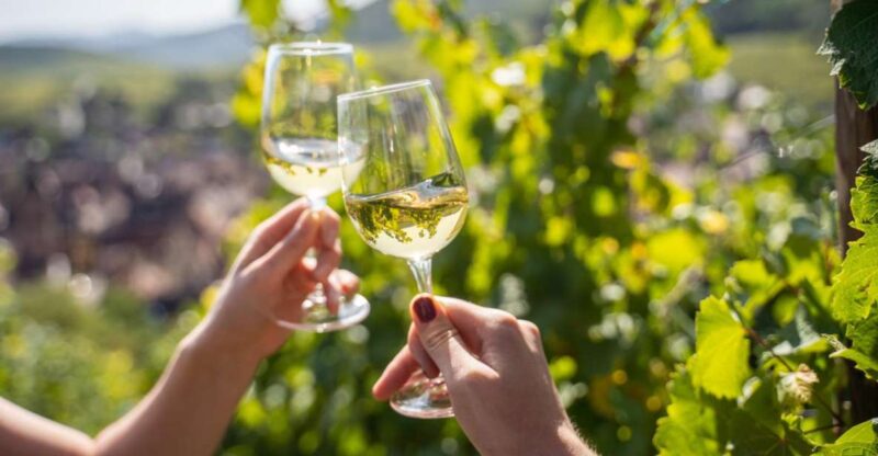 From Nice: Wine Tasting and Provencal Countryside Tour - Tour Highlights