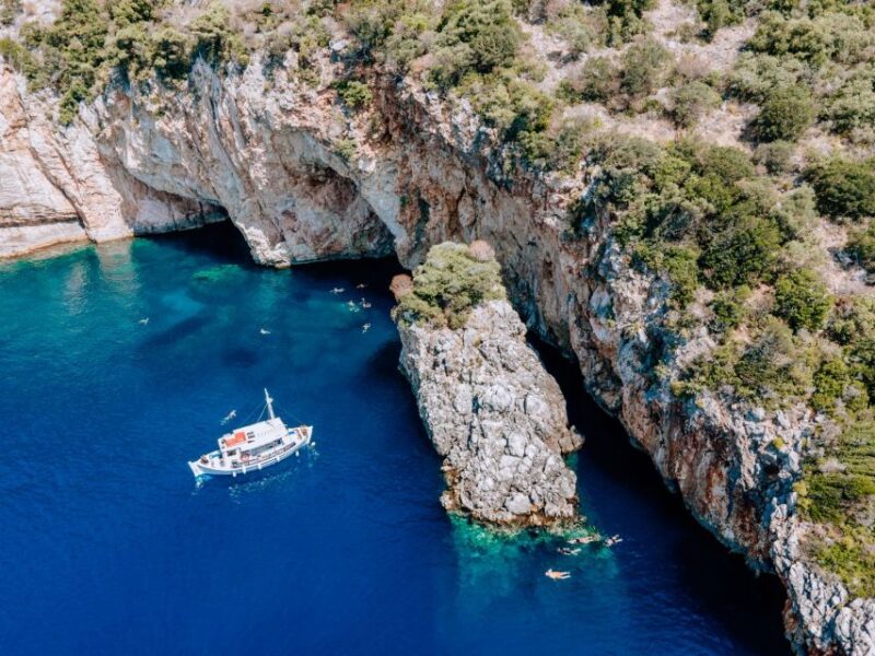From Nidri: Marine Wildlife Cruise With Lunch and Swim Stops - Key Points