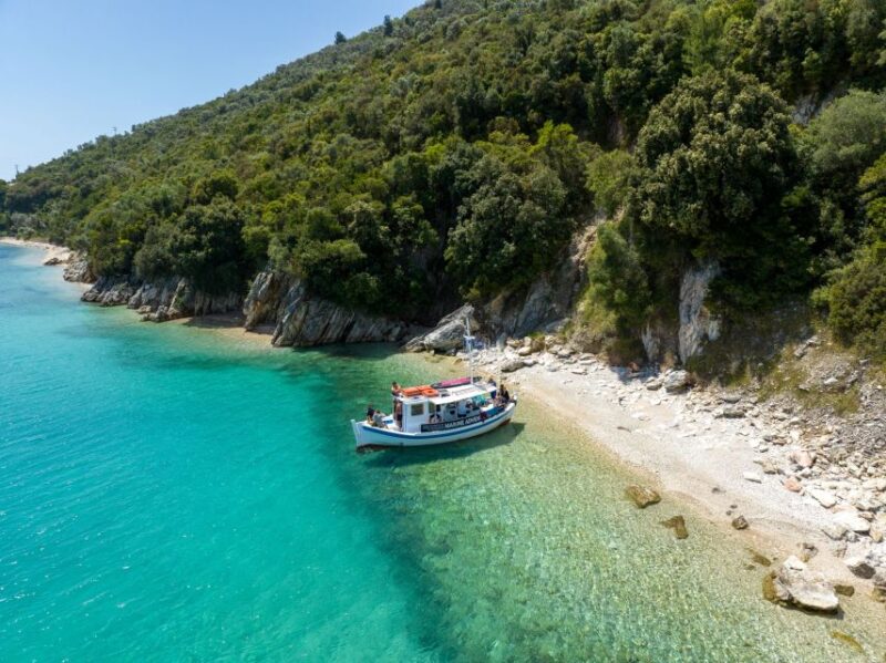 From Nidri: Marine Wildlife Cruise With Lunch and Swim Stops - What to Expect
