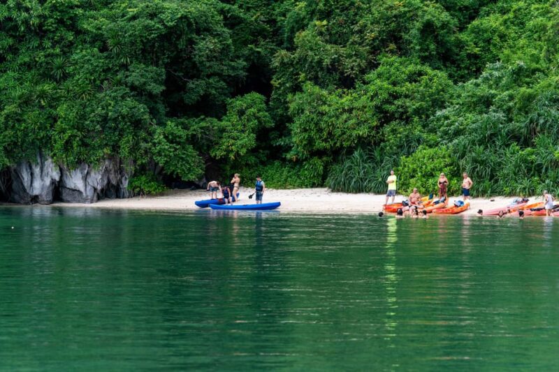 From Ninh Binh: 2 Days 1 Night Cruise in Bai Tu Long Bay - Excluded From the Price