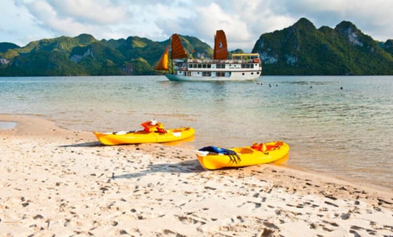 From Ninh Binh: 3-Day Ha Long Bay Phoenix Cruise Small Group - Key Points