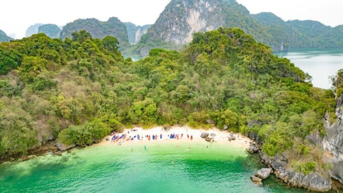 From Ninh Binh : Bai Tu Long Bay Swan Cruise 2-3 Days Trip - Inclusions and Exclusions