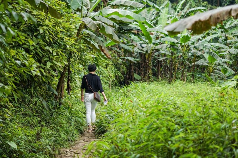 From Ninh Binh: Cuc Phuong National Park 1-Day Small Group - Preparation and Restrictions