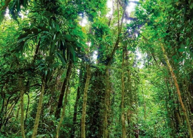 From Ninh Binh: Cuc Phuong National Park Day Trip - Important Information