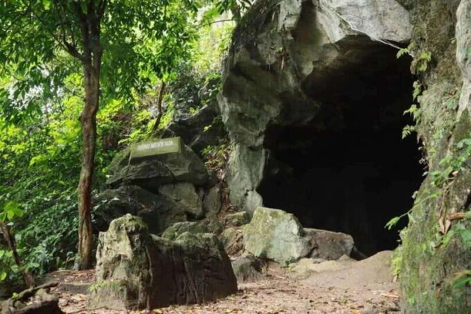 From Ninh Binh: Cuc Phuong National Park Day Trip - Discovering the Endangered Primate Rescue Center