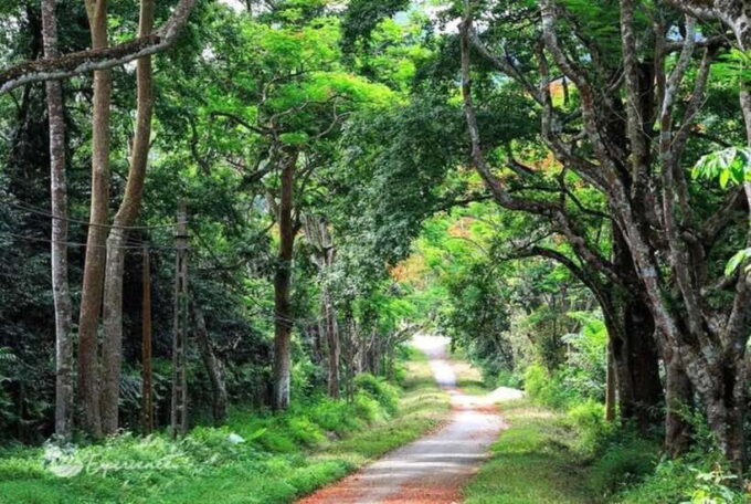 From Ninh Binh: Cuc Phuong National Park Day Trip - Experiencing the Parks Renowned Landmarks