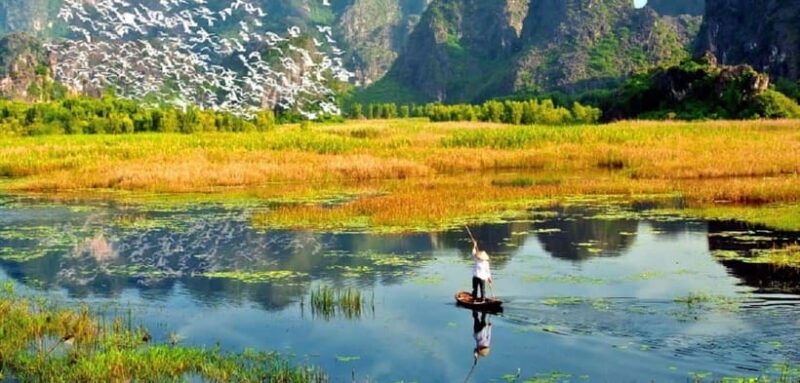From Ninh Binh: Cuc Phuong National Park Day Trip With Lunch - Itinerary and Highlights