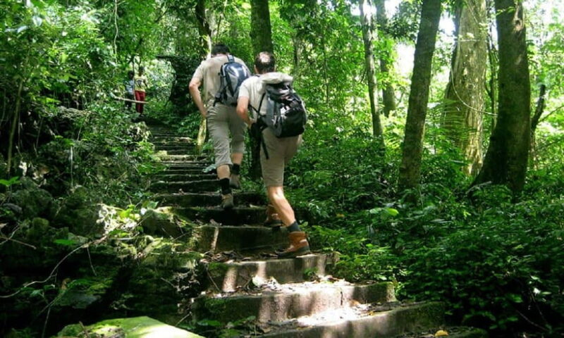 From Ninh Binh: Cuc Phuong National Park Day Trip With Lunch - Endangered Primate Rescue Center